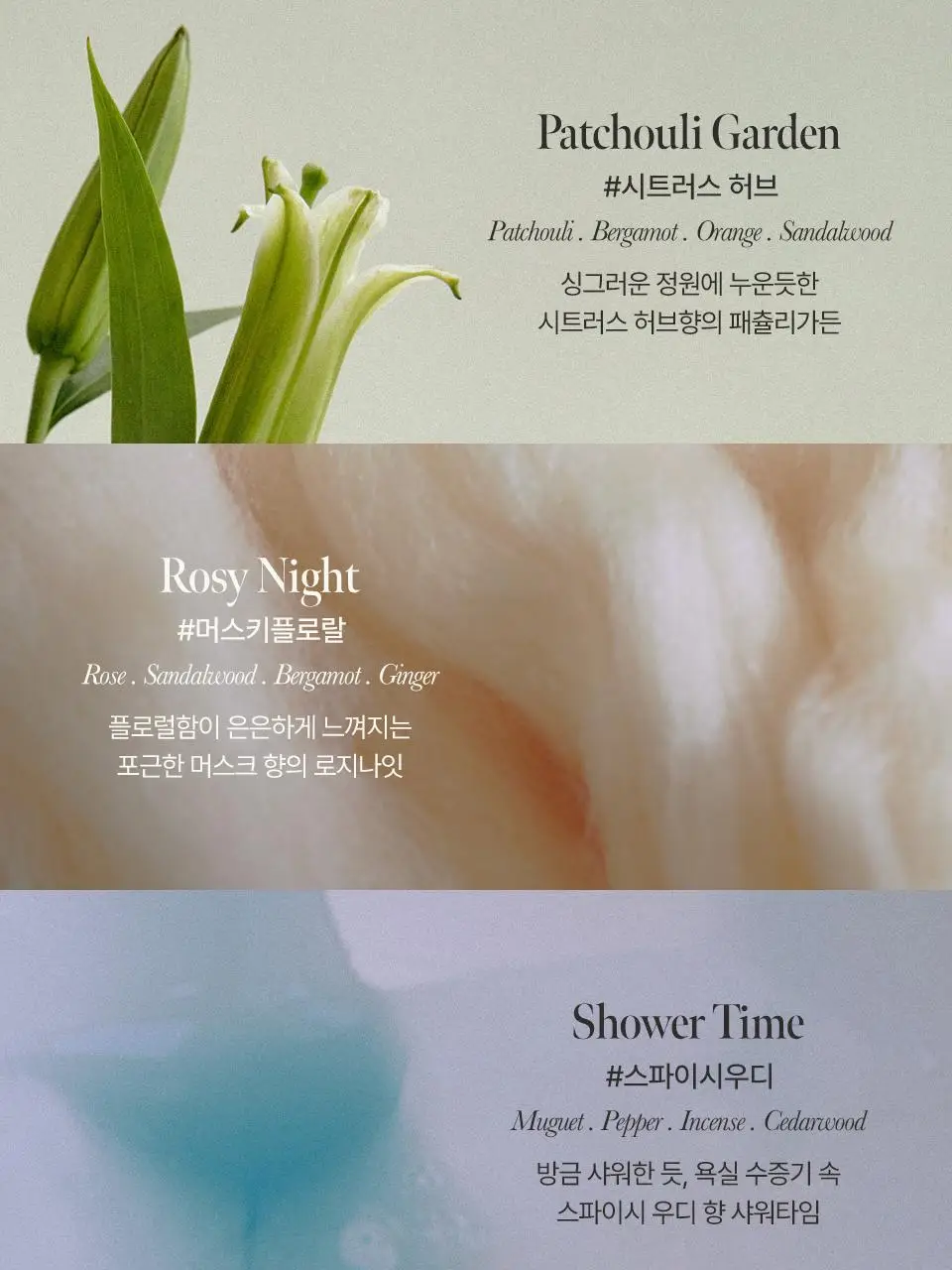 [Gift] 아닐로 오 드 퍼퓸 50ml 8종 택1 상세페이지 8